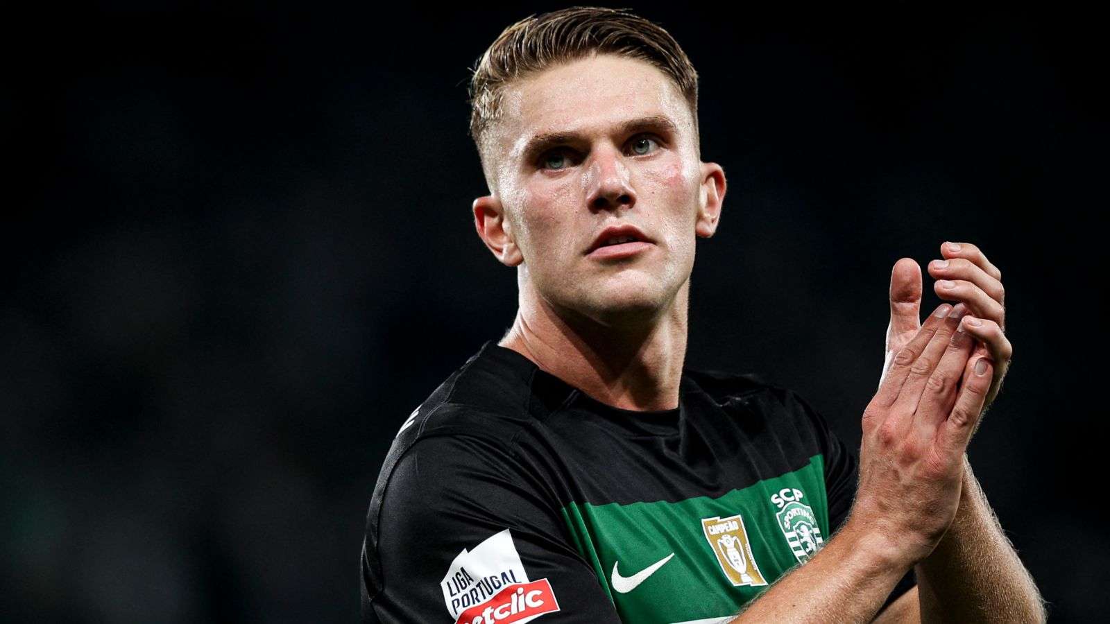 球队的主导 球队的主导